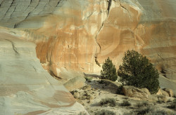 2007 04 20B 041 USA Arizona Web